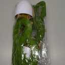 2 Pcs Easter Moss Bunny Decorations Topiary Artificial Easter Bunny Shaped Topiary Trees with Gold Bow Faux Artificial Moss Fake Green Grass Rabbit Plant Decor for Indoor Outdoor Home Porch Decor (13.39"D x 5.12"W x 3.94"H)