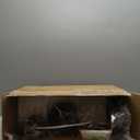 42 Inch Ceiling Fan with Light, Outdoor Ceiling Fans with Reversible Motor, Dimmable, 3-Colors Temperature, 3 ABS Blades, Black Ceiling Fan with Light and Remote for Living Room, Bedroom