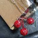 Youshe 20 Pcs Christmas Artificial Pine Branches with 10 Pcs Red Berry Stems, 10" Faux Green Cedar Sprigs Branches, Greenery Pine Needles DIY Cedar Picks for Christmas Garland Wreath Decoration