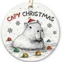 Capybara Ornament 2025  Funny Animal Lovers, Cute Ceramic Ornament for Women, Men & Friends, Unique Capybara Decor for Tree Decoration or Gift Exchange