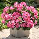 Artificial Geranium Fake Flowers for Outdoors Decoration, 6 Bundles Silk Geraniums Pink Flower UV Resistant Look Real Faux Plants for Outside Planter Front Door Garden Porch Patio Balcony Yard Home