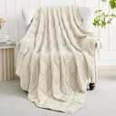 Mr. Sandman Weighted Blanket for Adults Queen Size 15 lbs, Soft Cooling Heavy Minky Blanket for Sleep, Washable Throw Blanket with Glass Beads, 60 x 80 Inches, Ivory
