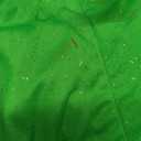 California Costumes Women's Eye Candy - Tinkerbell Fairy Adult, Green, Large