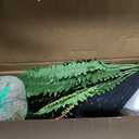 Nearly Natural 23in. Artificial Boston Fern Plant with Handmade Jute & Cotton Basket DIY KIT