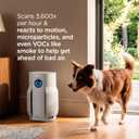 Shark BreatheClear Smart Air Purifier, HP162BK, Charcoal | For Living Room, Bedroom, Kitchen, Motion Sensing, HEPA-Exceeding in All Modes, No Filter Changes Up to 6 Years, Size: 750 sq. ft