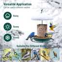 Metal Roof Bird Feeder for Outdoors - 360 Feeding Perch. Green