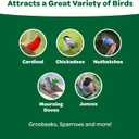 Kaytee Wild Bird Food Basic Seed Blend, 5 lb (EXP 08/04/26)