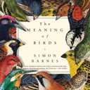 The Meaning of Birds