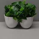 Mkono 2 Packs Fake Hanging Plant with Pot, Artificial Plants Macrame Plant Hanger Fake Vine Greenery for Bedroom Bathroom Home Office Decor (Ivory)