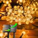 Solar Flower String Lights,2PACK 50 LED Solar Fairy Light Outdoor Waterproof,Cherry Blossoms String Lights for Fence Patio Yard Christmas Tree,Lawn,Patio,Garden Decoration(Warm White)