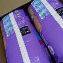 Always Discreet Adult Diapers for Women, Incontinence Underwear, Postpartum Essentials, Disposable Briefs, Max Absorbency, Bladder Leak Protection, Large, 76ct