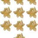 10 Pieces Blooming Lotus Embroidered Applique Orchid Flower Iron on Patches Sew on Badge Stickers for Clothes Backpack Repairing Embellishment Decorations (Gold)