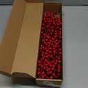 50Pack Christmas Tree Decorations Artificial Berry Stems Red Berry Picks for Xmas Winter Holiday Home Centerpieces and DIY Flower Arrangements Ornaments