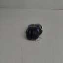 Toddler Boy Sandals Coast Shark Black Size 6