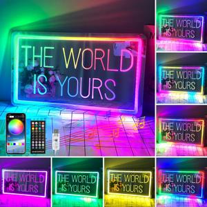 The World is Yours Neon Sign for Bedroom Game Room, Colorful Acrylic Neon Mirror World LED Light Up Signs with Remote, 200+ Colors, App Control, Music Sync, Birthday Gifts for Boys & Girls