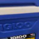 Igloo Hard Coolers | Profile II Series | Insulated Ice Chests | Roller Cooler with Wheels, 28 Qt