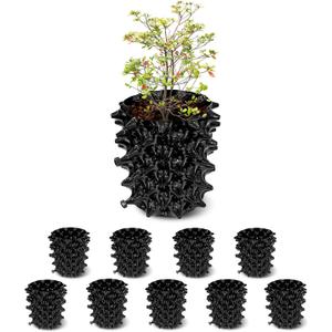 RooTrimmer 1 Gallon Air Pruning Containers, New Plastic Nursery Pots, Fruit Vegetable Garden Self-Planting Pots, Black (1G-10P)