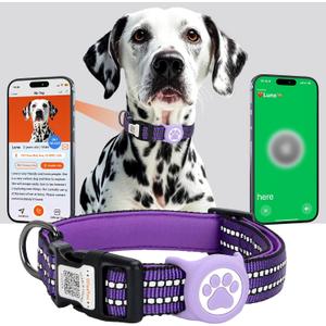 AirTag Dog Collar for Medium Dogs, IP68 Waterproof Air Tag Dog Collar with Apple AirTag Holder, Reflective, Padded Lining, QR Code Personalized Dog Tags (Purple, Medium) (M13"-22")