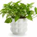 Arktiva Ceramic Planter Pot with Drainage Hole, 4.5 Inch Dia, Indoor and Outdoor, Home Patio Garden, Plants Flower Succulent, 3D Patterned Round (White)