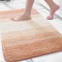 Arotive Microfiber Bathroom Rugs, Shaggy Soft and Absorbent Bath Rug, Non-Slip, Thick Plush Machine Washable Dry Bath Mats for Bathroom, Tub and Shower, 24x16, Peach, Rectangular