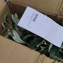 VEVOR Artificial Olive Tree, 6 FT Tall Faux Plant, Secure PE Material & Anti-Tip Tilt Protection Low-Maintenance Plant, Lifelike Green Fake Potted Tree for Home Office Warehouse Decor Indoor Outdoor