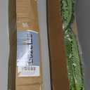 Artificial Boston Fern Bush- Set of 2 Large Artificial Ferns for Outdoors, 45Inch Large Faux Ferns, Suitable for Office & Living Room Decor, 55Branches for Each Bouquet