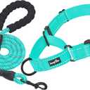 haapaw Martingale Dog Collar with Quick Release Buckle Reflective Dog Training Collars for Medium Dogs (Turquoise)