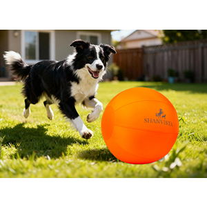Orange Dog Toy Ball
