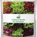 20,000+ Lettuce Seeds, Heirloom Vegetable Seed for Planting Indoor Outdoor, 10 Varieties of Fresh Salad Greens for Hydroponics Kit, Easy to Grow for Garden Beginners, Non-GMO