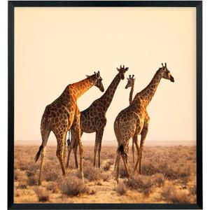 Mxtallup 22x24 Picture Frames Solid Wood 22x24 Poster Frame for Wall Photo Frames Family Black (T22B2224)