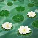 12pcs Floating Foam Lotus Flowers with Lily Pads, Artificial Pond Plants Ornaments for Pool Aquarium Water Decoration, White