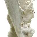 Blue Ribbon EE-1765 Exotic Environments Lettuce Coral Aquarium Ornament, White