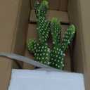 DILATATA 13' Small Fake Cactus Plant Potted 'Prickly Pear Cactus' Faux Cacti for Home Garden Office Decor Housewarming Gifts