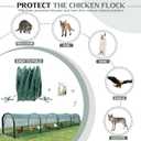 Foldable Chicken Tunnel Instant Setup, No Assembly Required, 157 Inch Portable Chicken Run for Yard, Expandable Outdoor Tunnel (157 * 30 * 24 inches)