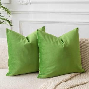 JUSPURBET Decorative Pillow Covers Set of 2 Velvet Throw Pillow Covers for Couch Sofa Bed Soft Cushion Covers Cases with Hidden Zipper for Living Room Home Decor 18x18 inch,Apple Green