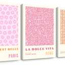 Pink Flower Market Wall Art Decor Aesthetic Abstract Canvas Floral Minimalist Wall Art Pictures Orange Floral Prints Artwork Botanical Flower Poster Colorful Painting 16x24 Inch Framed Set of 3