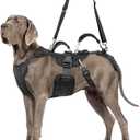 Dog Lift Harness, Dog Support & Recovery Sling for Full-Body & Hind/Front Leg Pee-Able Design for Large/Medium Dogs All-in-One Ideal Assistance for Senior, Disabled, Arthritic & ACL Canines (L)