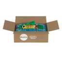 Miracle-Gro Water Soluble All Purpose Plant Food - Fertilizer For All Indoor or Outdoor Plants including Roses, Flowers, Vegetables, Houseplants, Trees, and Shrubs, 6.25 lbs.