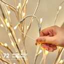 Birch Vine with Lights with Timer 6ft 72LED, Artificial Tree for Walls Birch Twig for Room Decor Mantle Fireplace Holiday Christmas Decorations Birch Branches - Battery Operated (White)