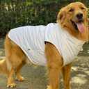 Winter Vest With Cotton Lining, Waterproof Ultra Warm Coat, Windproof Zippered Jacket, Breathable Soft for Small Medium Large Dogs, White XL