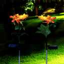 Garden Lights Solar Powered Waterproof, LED Flower Solar Backyard Lights Outdoor 2 Pack, Sunflower Lawn Ornaments Yard Decorations Outdoor Decorative for Outside Patio Pathway (1 Head New)