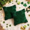 St Patricks Day Throw Pillow Covers Decorations 18x18 in 2-Piece Set,Green Pillow Covers Linen Spring Pillow Case Home Sofa St Patricks Day Decor.