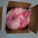 WILLBOND 300 Pieces Cherry Blossom Heads Artificial Fake Silk Cloth Petals Mini Cherry Flowers Petals for Dress DIY Accessories Home Wedding Party Decoration (Fresh)