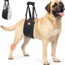 LOOBANI Dog Lift Harness for Back Legs, Portable Dog Sling for Large Dogs Hind Leg Support, Comfortable Supports Helps Canie Hip Arthritis K9 Cruciate Ligament Rehabilitation
