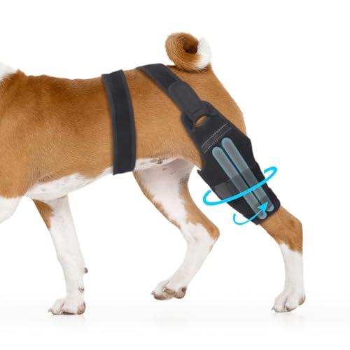 Dog Knee Brace, Torn ACL Hind Leg Support, Rear Stability for CCL Injury Recovery & Hip Dysplasia, Adjustable Joint Wrap for Small Medium Large Pets(Left, S)