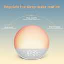 Sunrise Alarm Clock White Noise Machine: Natural Wake Up Light - Dimmable Clock with Bluetooth Speaker for Bedroom - 25 Sleep Sounds for Baby Adults Kids Frost White