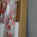 Human Muscle and Organ Model,27-Part Half Life-Size Human Body Muscular System Anatomy Model with Removable Organs and Muscle Includes Product Manual for Medical Physiology Educational Study