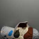 Blissful Diary Baby Play Mats for Floor, 50x50 Crawling Mat for Playpen, Thicken Soft Padding Foam Playmats for Babies and Toddlers Infants, Foldable and Machine Washable, Boho Design