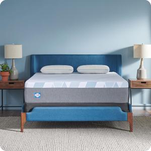Sealy Dreamlife 12 Hybrid Mattress-in-a-Box, Full, SealyComfort Gel Memory Foam, SealyResponsive Encased Coils, Surface-Guard Technology