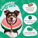 BENCMATE Inflatable Dog Cone Collar Alternative, Soft Dog Cone for Small Medium Large Dogs and Cats, Neck Recovery ECollar Donut Collar After Surgery (Large, Watermelom)